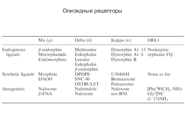 Опиоидные рецепторы