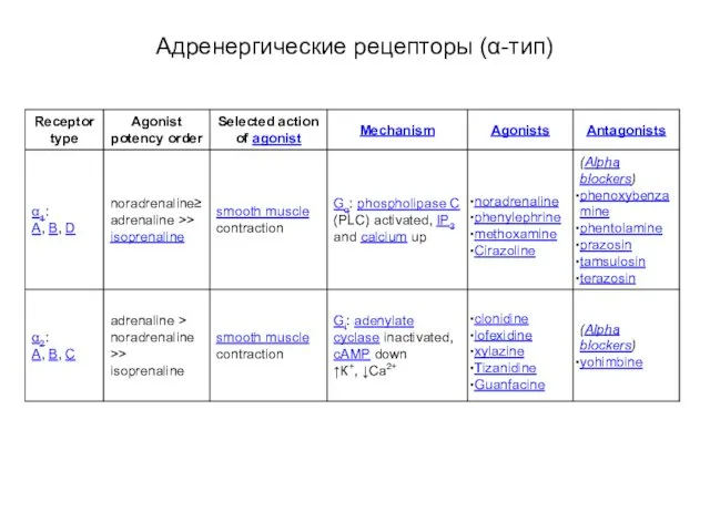 Адренергические рецепторы (α-тип)