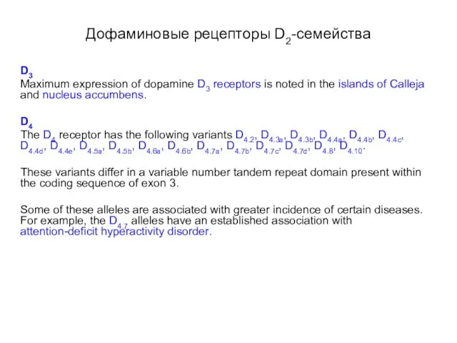 Дофаминовые рецепторы D2-семейства D3 Maximum expression of dopamine D3 receptors