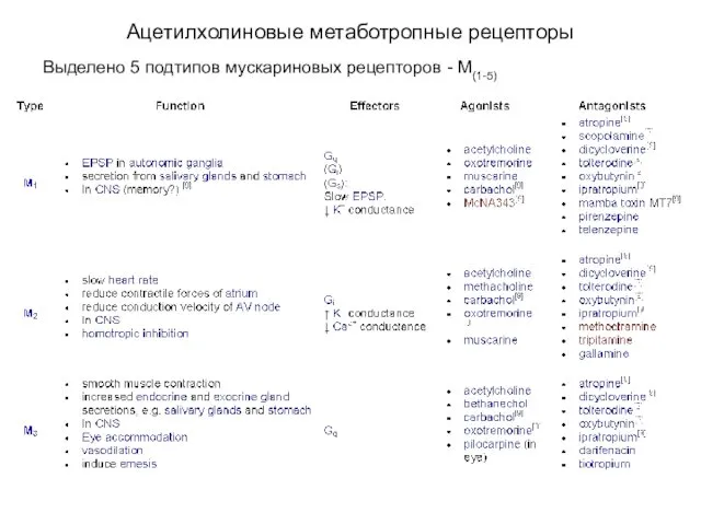 Ацетилхолиновые метаботропные рецепторы Выделено 5 подтипов мускариновых рецепторов - М(1-5)