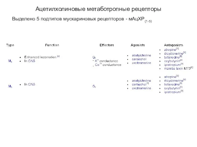 Ацетилхолиновые метаботропные рецепторы Выделено 5 подтипов мускариновых рецепторов - мАцХР(1-5)