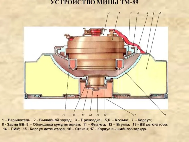 УСТРОЙСТВО МИНЫ ТМ-89 1 – Взрыватель; 2 - Вышибной заряд;