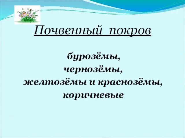 Почвенный покров бурозёмы, чернозёмы, желтозёмы и краснозёмы, коричневые