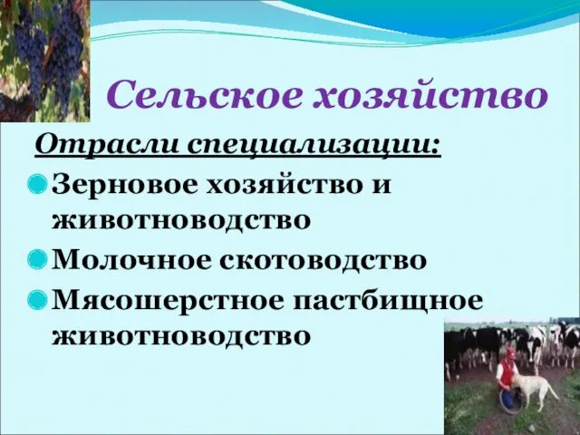 Сельское хозяйство Отрасли специализации: Зерновое хозяйство и животноводство Молочное скотоводство Мясошерстное пастбищное животноводство