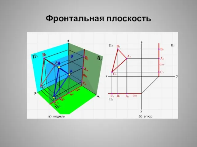 Фронтальная плоскость