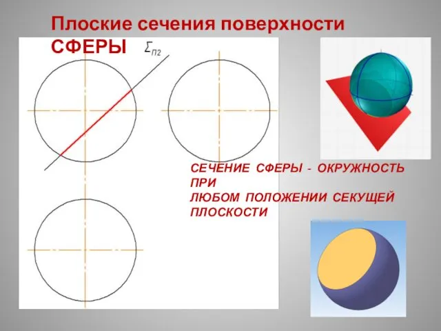 СЕЧЕНИЕ СФЕРЫ - ОКРУЖНОСТЬ ПРИ ЛЮБОМ ПОЛОЖЕНИИ СЕКУЩЕЙ ПЛОСКОСТИ Плоские сечения поверхности СФЕРЫ