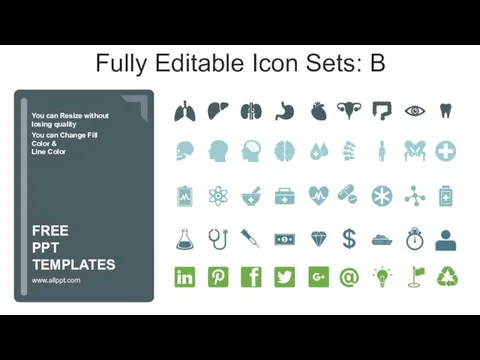 Fully Editable Icon Sets: B