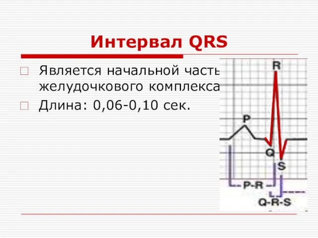 Интервал QRS Является начальной частью желудочкового комплекса. Длина: 0,06-0,10 сек.