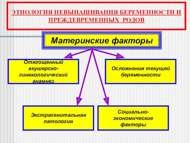 Материнские факторы Осложнения текущей беременности Социально-экономические факторы Экстрагенитальная патология Отягощенный