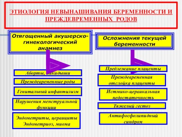 Отягощенный акушерско-гинекологический анамнез Аборты, выкидыши Преждевременные роды Нарушения менструальной функции