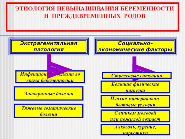 Экстрагенитальная патология Инфекционные болезни во время беременности Эндокринные болезни Тяжелые