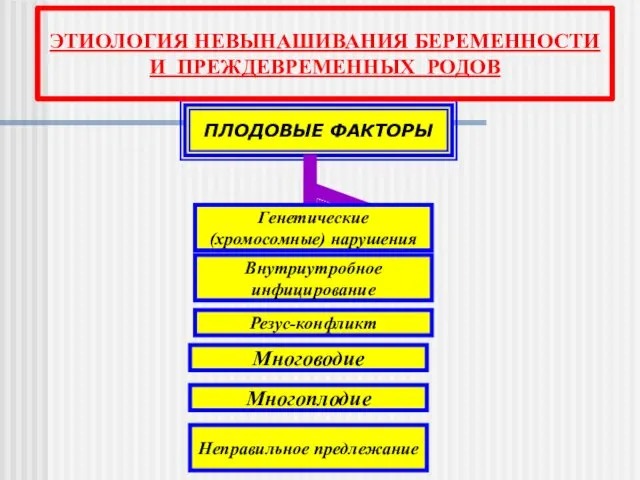 ПЛОДОВЫЕ ФАКТОРЫ Многоплодие Неправильное предлежание Резус-конфликт Многоводие Внутриутробное инфицирование Генетические