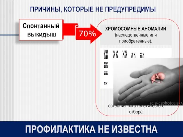 ХРОМОСОМНЫЕ АНОМАЛИИ (наследственные или приобретенные). Спонтанный выкидыш Инструмент естественного генетического