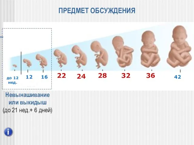 ПРЕДМЕТ ОБСУЖДЕНИЯ 42 36 32 28 24 22 16 12