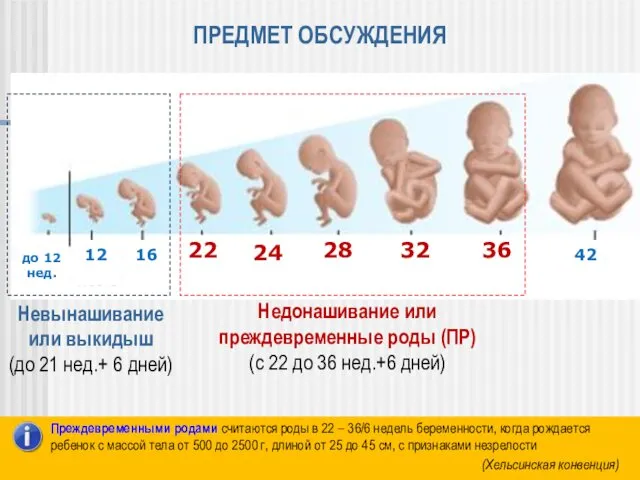 ПРЕДМЕТ ОБСУЖДЕНИЯ 42 36 32 28 24 22 16 12