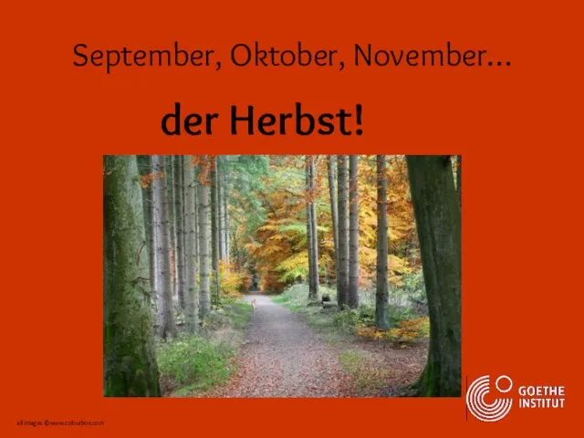 September, Oktober, November… der Herbst! all images ©www.colourbox.com