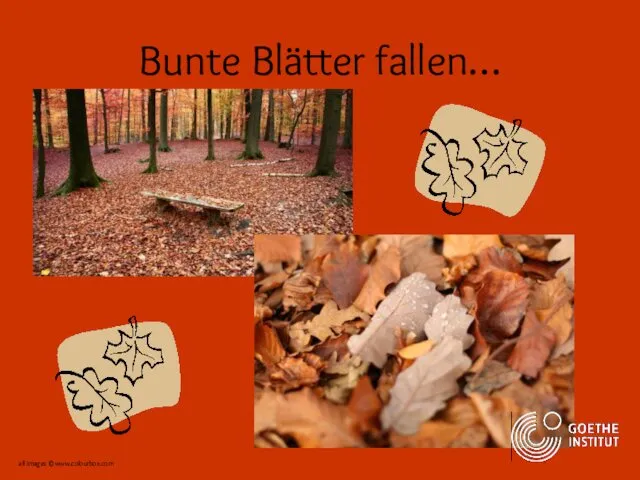 Bunte Blätter fallen… all images ©www.colourbox.com