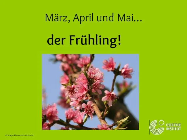 März, April und Mai… der Frühling! all images ©www.colourbox.com
