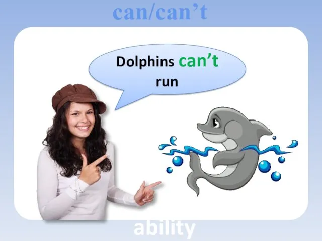 Dolphins can’t run can/can’t ability