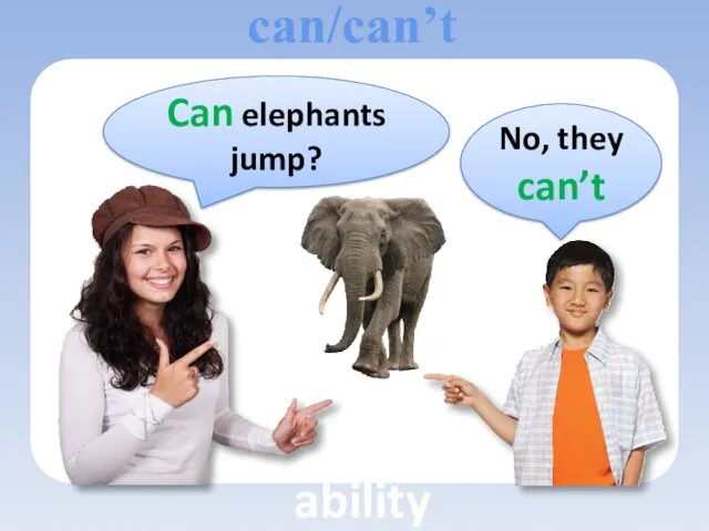 Can elephants jump? No, they can’t can/can’t ability