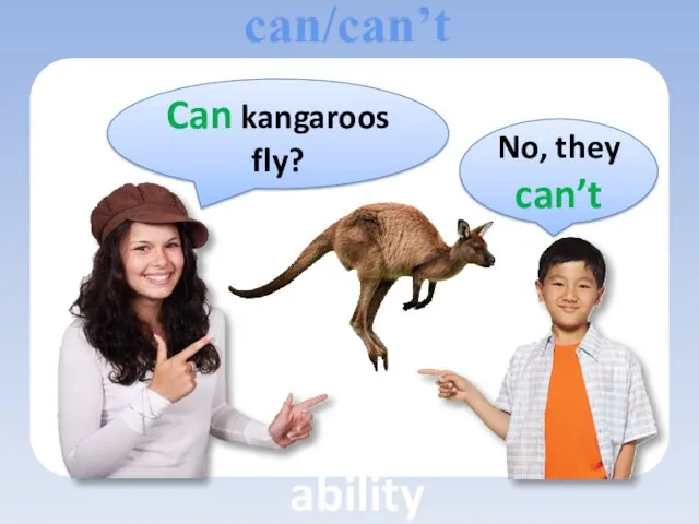 Can kangaroos fly? No, they can’t can/can’t ability