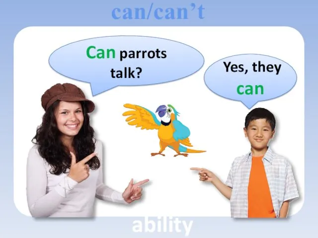Can parrots talk? Yes, they can can/can’t ability