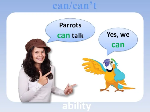Parrots can talk Yes, we can can/can’t ability
