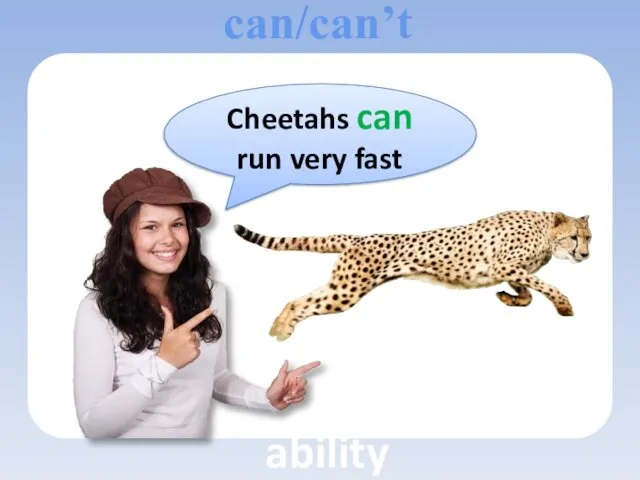 Cheetahs can run very fast can/can’t ability