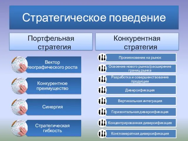 Стратегическое поведение Портфельная стратегия Конкурентная стратегия