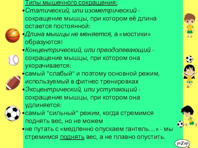 Типы мышечного сокращения: Статический, или изометрический - сокращение мышцы, при