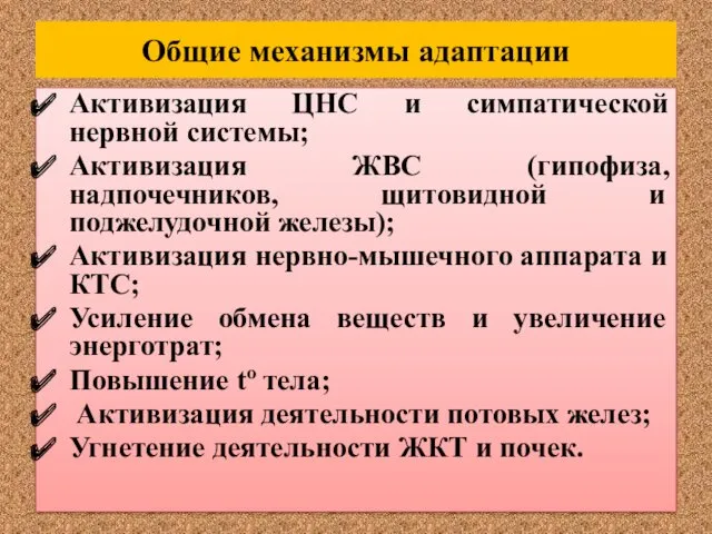 Общие механизмы адаптации Активизация ЦНС и симпатической нервной системы; Активизация