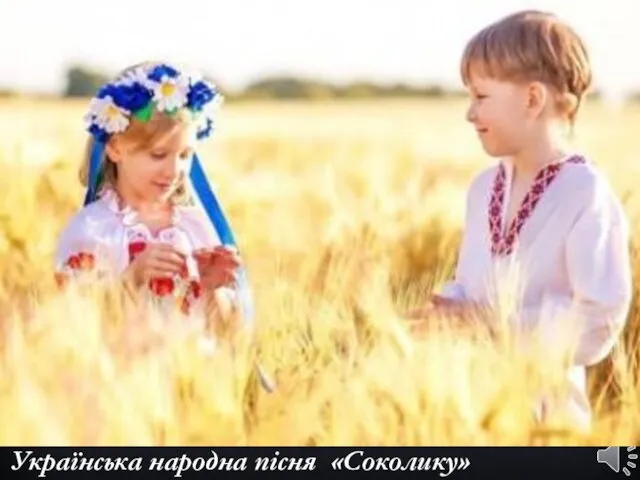 Українська народна пісня «Соколику»