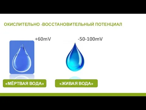 ОКИСЛИТЕЛЬНО -ВОССТАНОВИТЕЛЬНЫЙ ПОТЕНЦИАЛ +60mV -50-100mV «МЁРТВАЯ ВОДА» «ЖИВАЯ ВОДА»