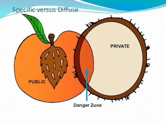 Specific versus Diffuse PRIVATE PUBLIC