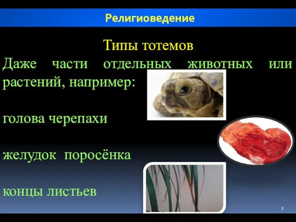 Типы тотемов Даже части отдельных животных или растений, например: голова черепахи желудок поросёнка концы листьев Религиоведение