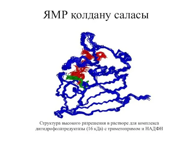 ЯМР қолдану саласы Структура высокого разрешения в растворе для комплекса