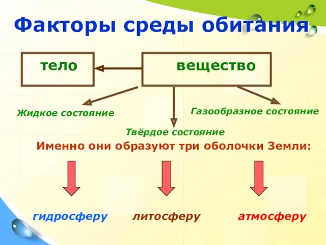 Факторы среды обитания Именно они образуют три оболочки Земли: гидросферу