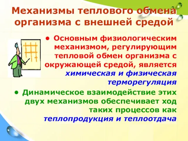 Механизмы теплового обмена организма с внешней средой Основным физиологическим механизмом,