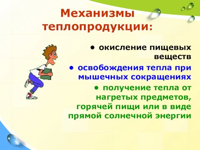 Механизмы теплопродукции: окисление пищевых веществ освобождения тепла при мышечных сокращениях