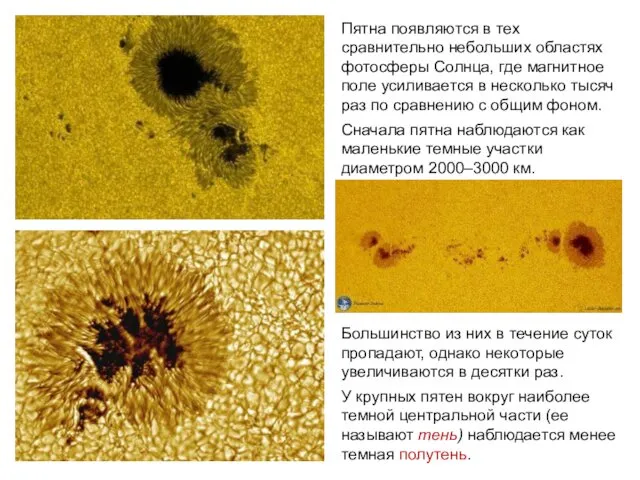 Пятна появляются в тех сравнительно небольших областях фотосферы Солнца, где