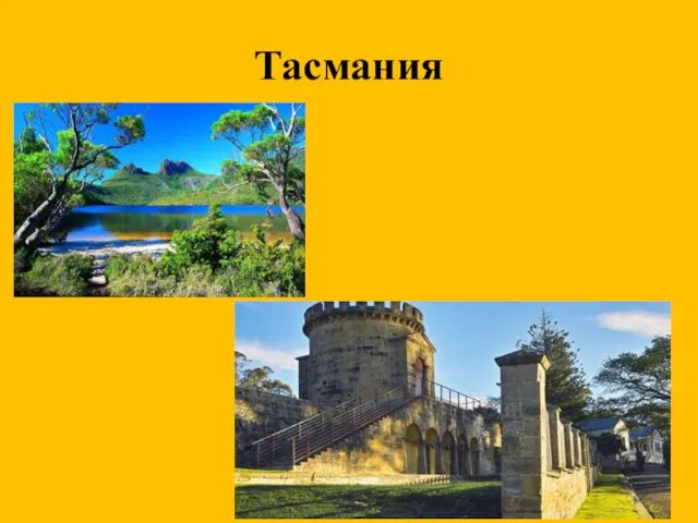 Тасмания