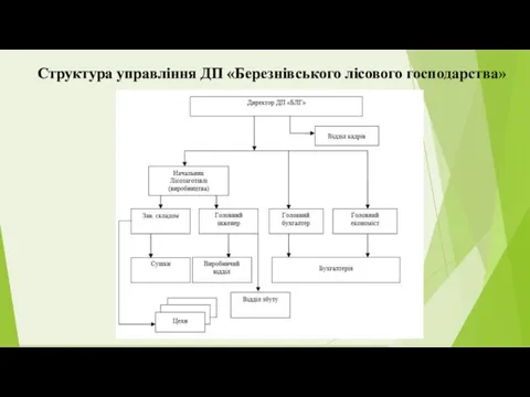 Структура управління ДП «Березнівського лісового господарства»