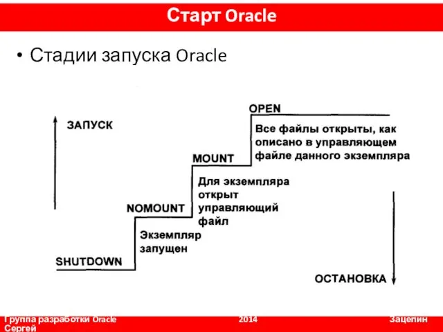 Стадии запуска Oracle Группа разработки Oracle 2014 Зацепин Сергей Старт Oracle