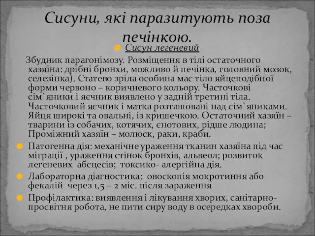 Сисун легеневий Збудник парагонімозу. Розміщення в тілі остаточного хазяїна: дрібні