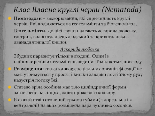 Нематодози – захворювання, які спричиняють круглі червів. Які поділяються на