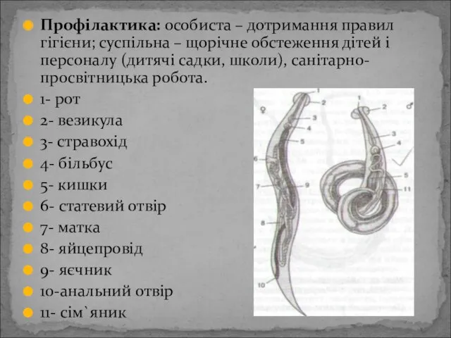 Профілактика: особиста – дотримання правил гігієни; суспільна – щорічне обстеження