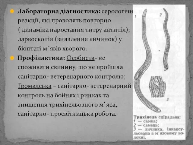 Лабораторна діагностика: серологічні реакції, які проводять повторно ( динаміка наростання