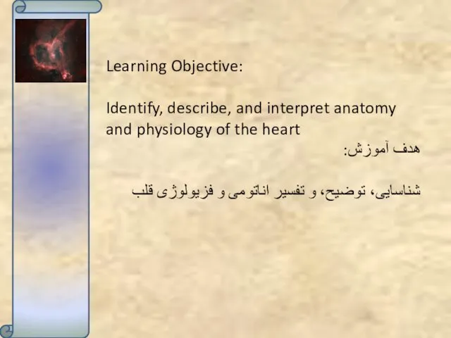 Learning Objective: Identify, describe, and interpret anatomy and physiology of the heart هدف
