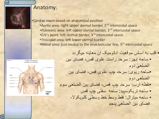Anatomy: Cardiac exam based on anatomical position Aortic area: right upper sternal border,