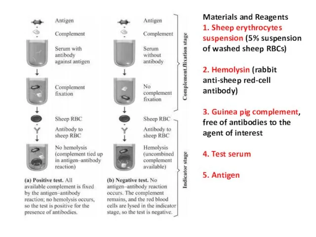 Materials and Reagents 1. Sheep erythrocytes suspension (5% suspension of